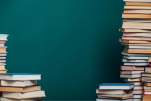 Educational and Developmental Opportunities